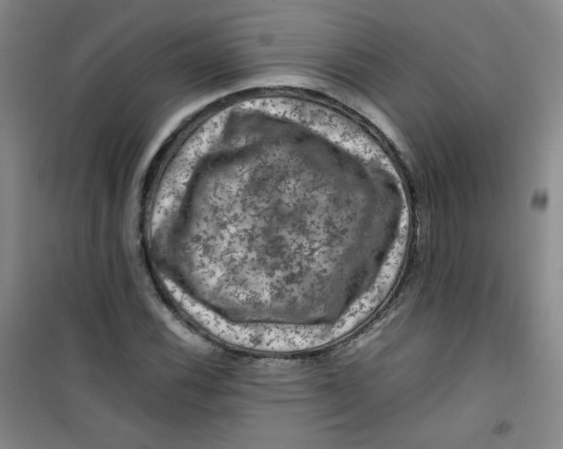 X0000100951116200807221114