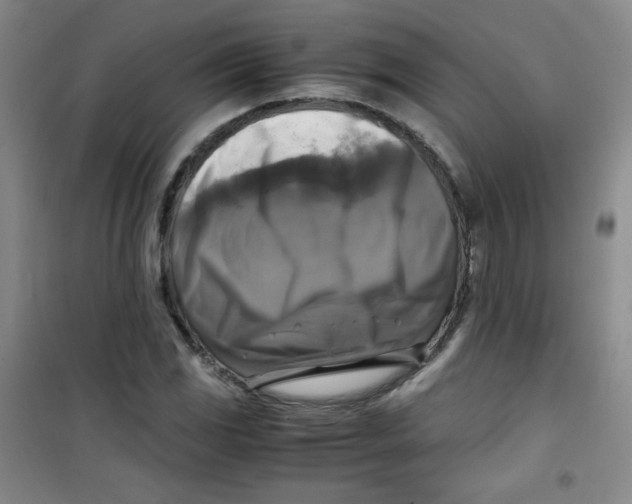 X0000100951117200807221114