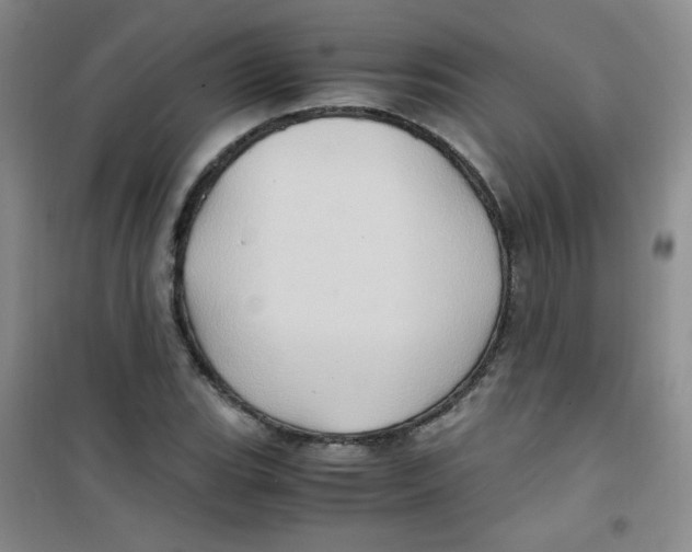 X0000100951119200807221114