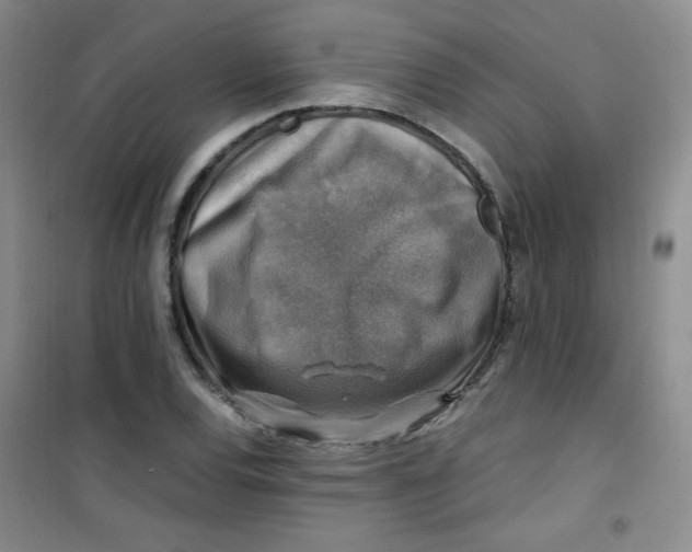 X0000100951120200807221114