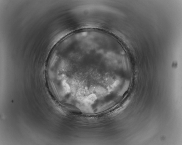 X0000100951121200807221114