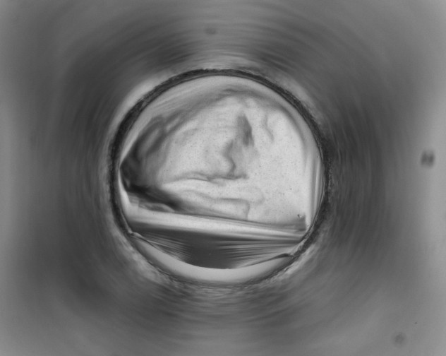 X0000100951122200807221114