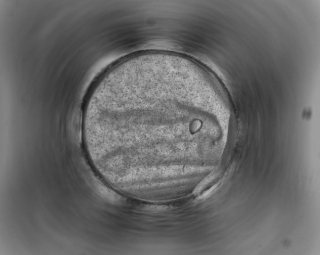 X0000100951123200807221115