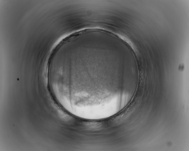 X0000100951127200807221115