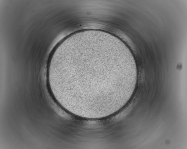 X0000100951130200807221115