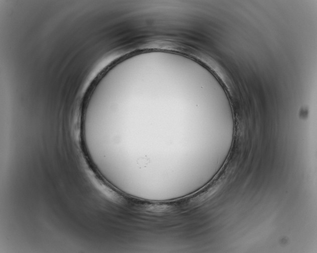 X0000100951131200807221115