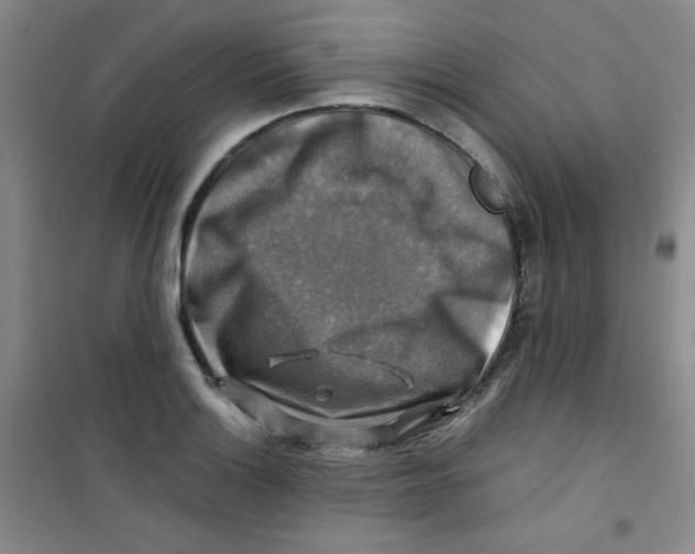 X0000100951132200807221115