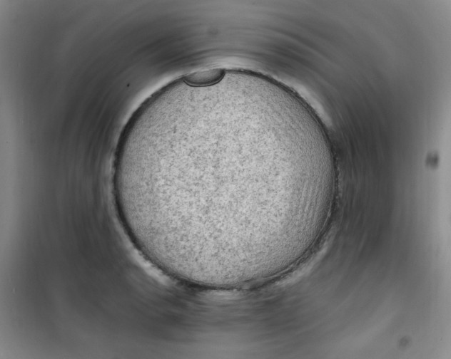 X0000100951134200807221115