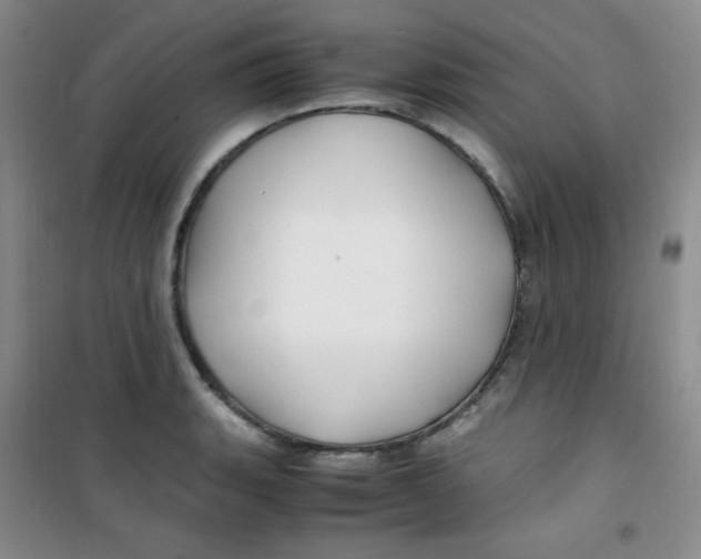 X0000100951135200807221115