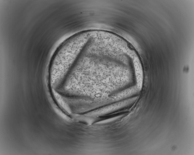 X0000100951136200807221115