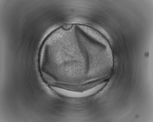 X0000100951138200807221115