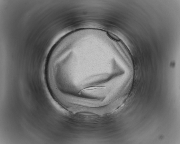 X0000100951139200807221115