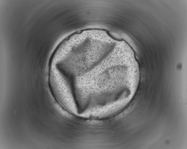 X0000100951140200807221115