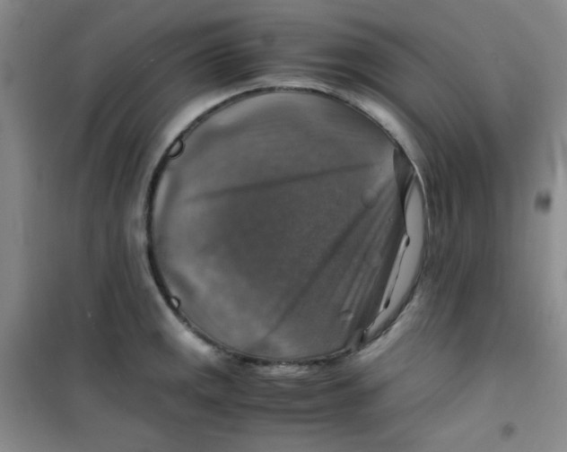 X0000100951141200807221115