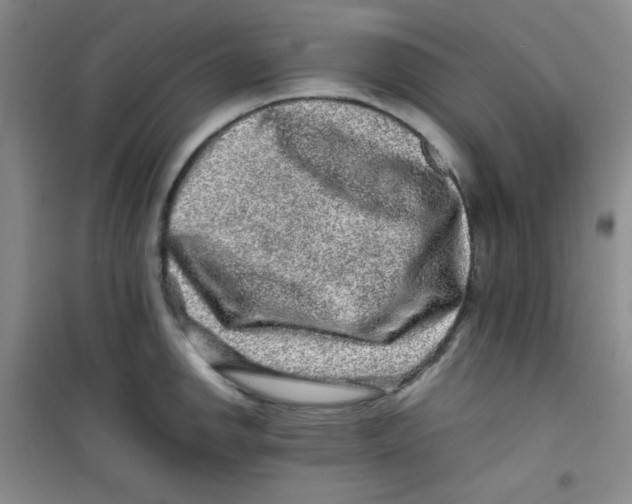 X0000100951142200807221115