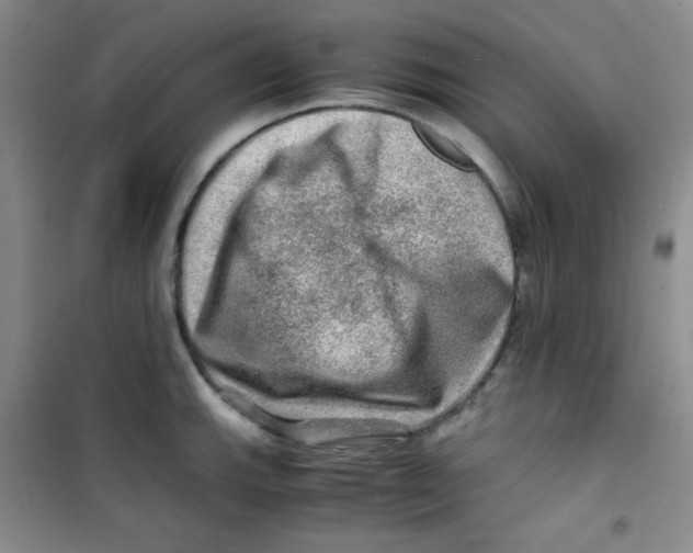 X0000100951143200807221115