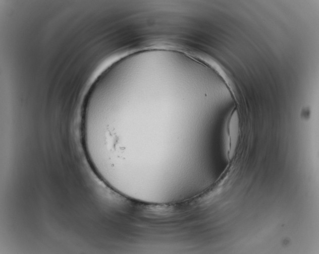 X0000100951147200807221115