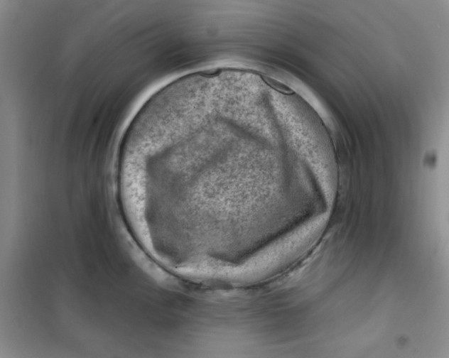 X0000100951148200807221115