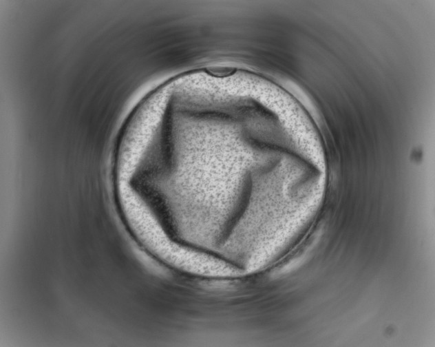 X0000100951149200807221115