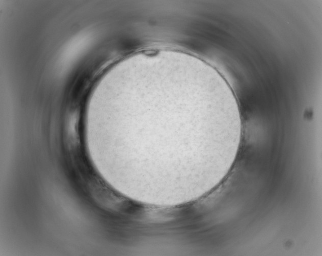 X0000100951150200807221115