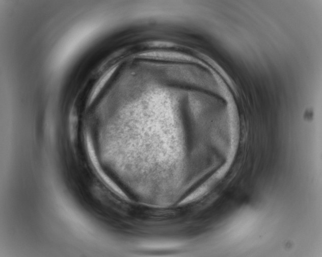 X0000100951151200807221115