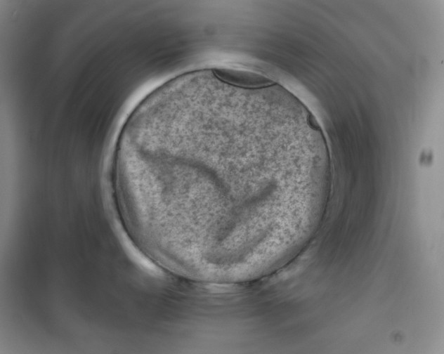 X0000100951152200807221115