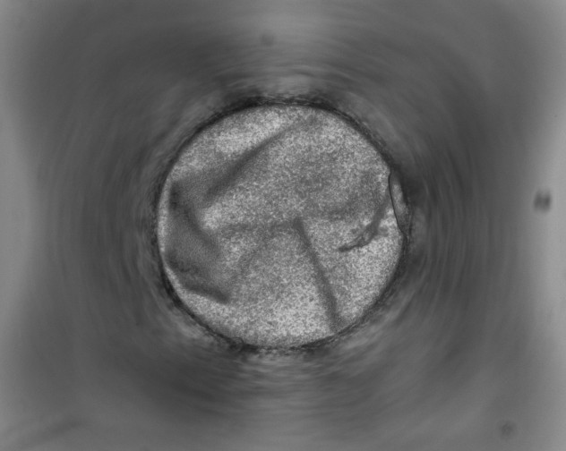 X0000100951153200807221114