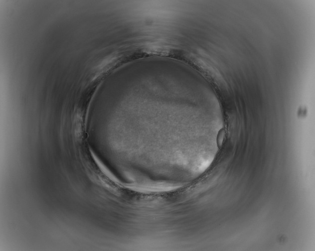 X0000100951154200807221114