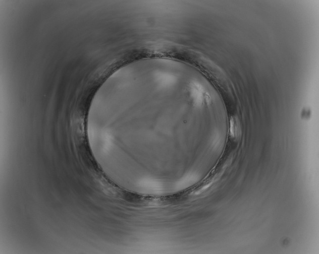 X0000100951155200807221114