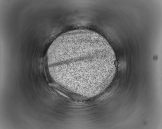 X0000100951156200807221114