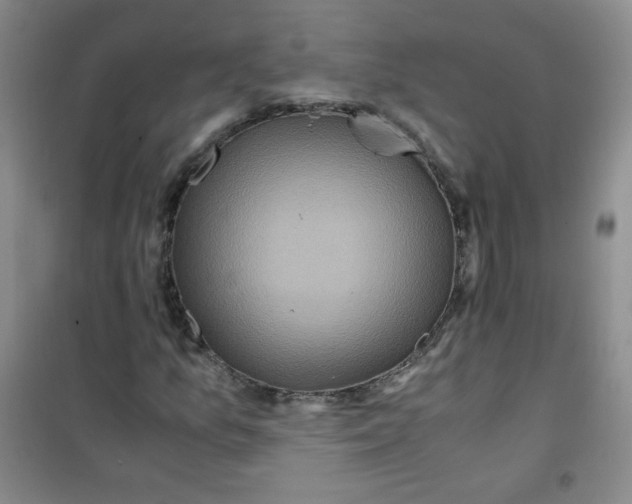 X0000100951157200807221114