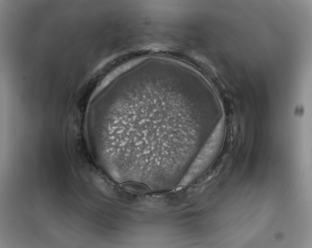 X0000100951158200807221114