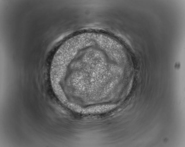 X0000100951159200807221114