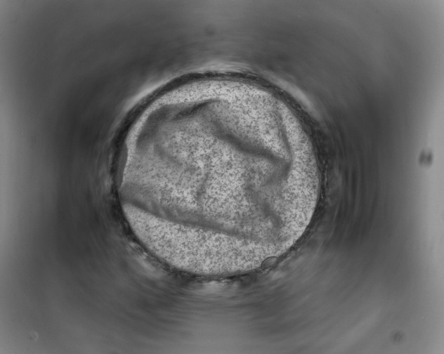 X0000100951160200807221114