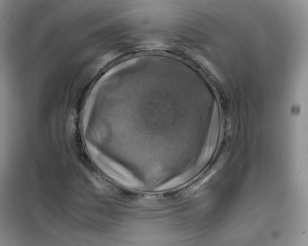 X0000100951161200807221114