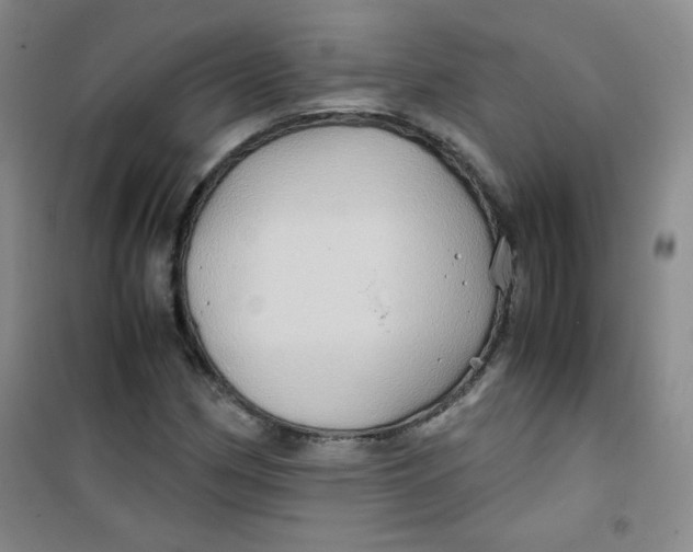 X0000100951162200807221114