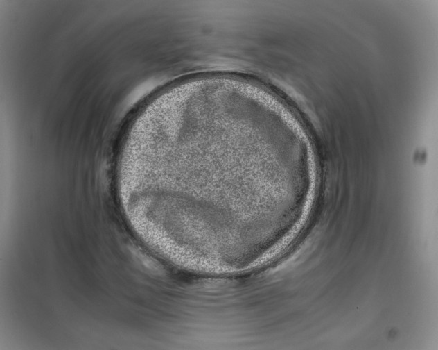 X0000100951163200807221114