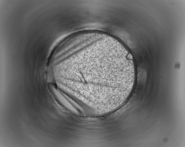 X0000100951164200807221114