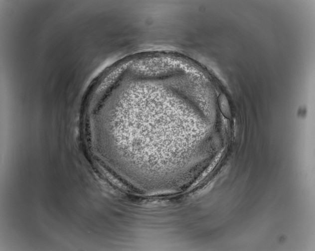 X0000100951165200807221114