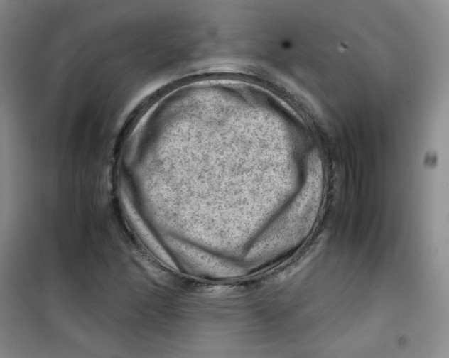 X0000100951166200807221114