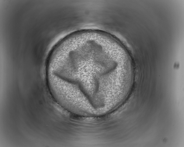 X0000100951167200807221114