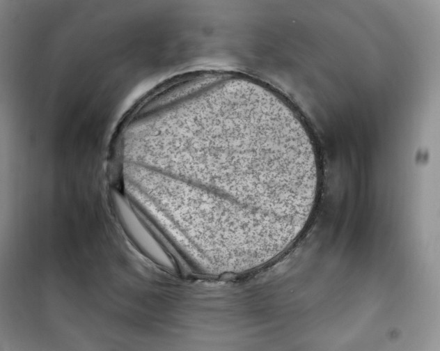 X0000100951168200807221114