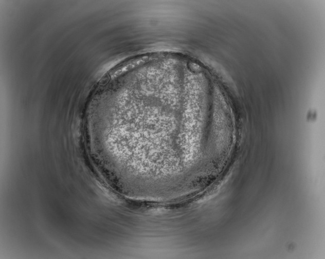 X0000100951169200807221114