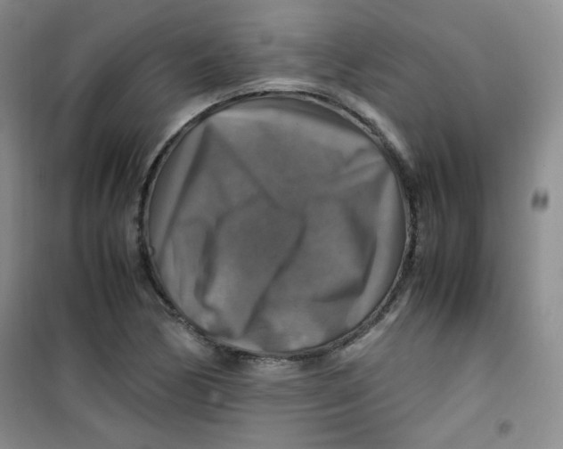 X0000100951170200807221114