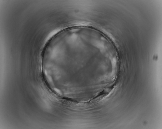 X0000100951171200807221114