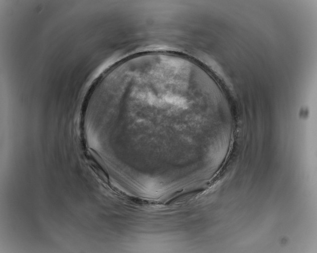 X0000100951173200807221114