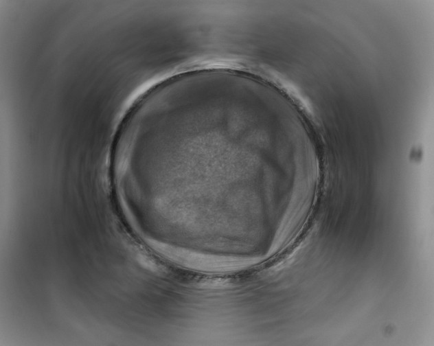 X0000100951174200807221114