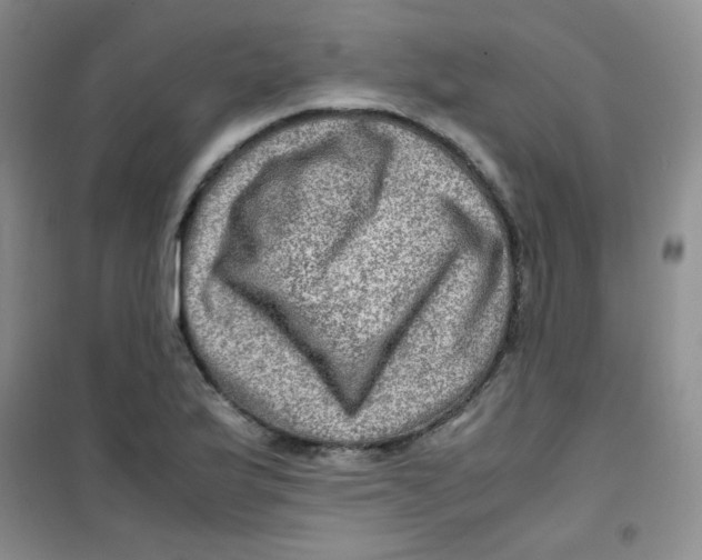 X0000100951175200807221114