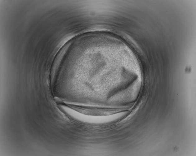 X0000100951177200807221114