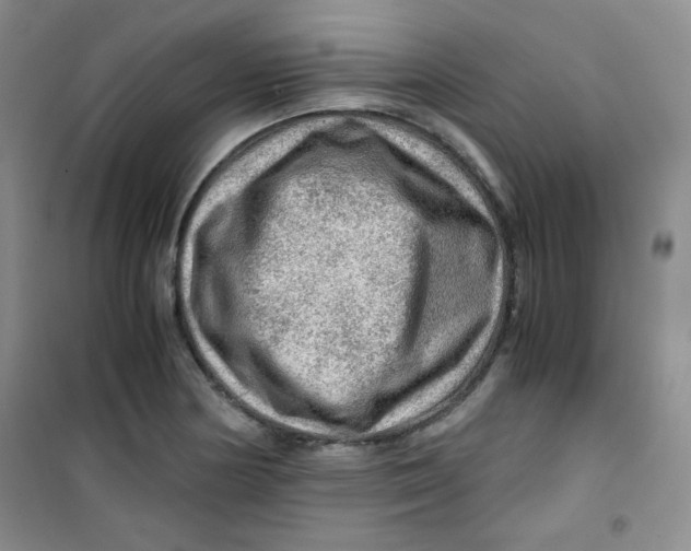 X0000100951178200807221114